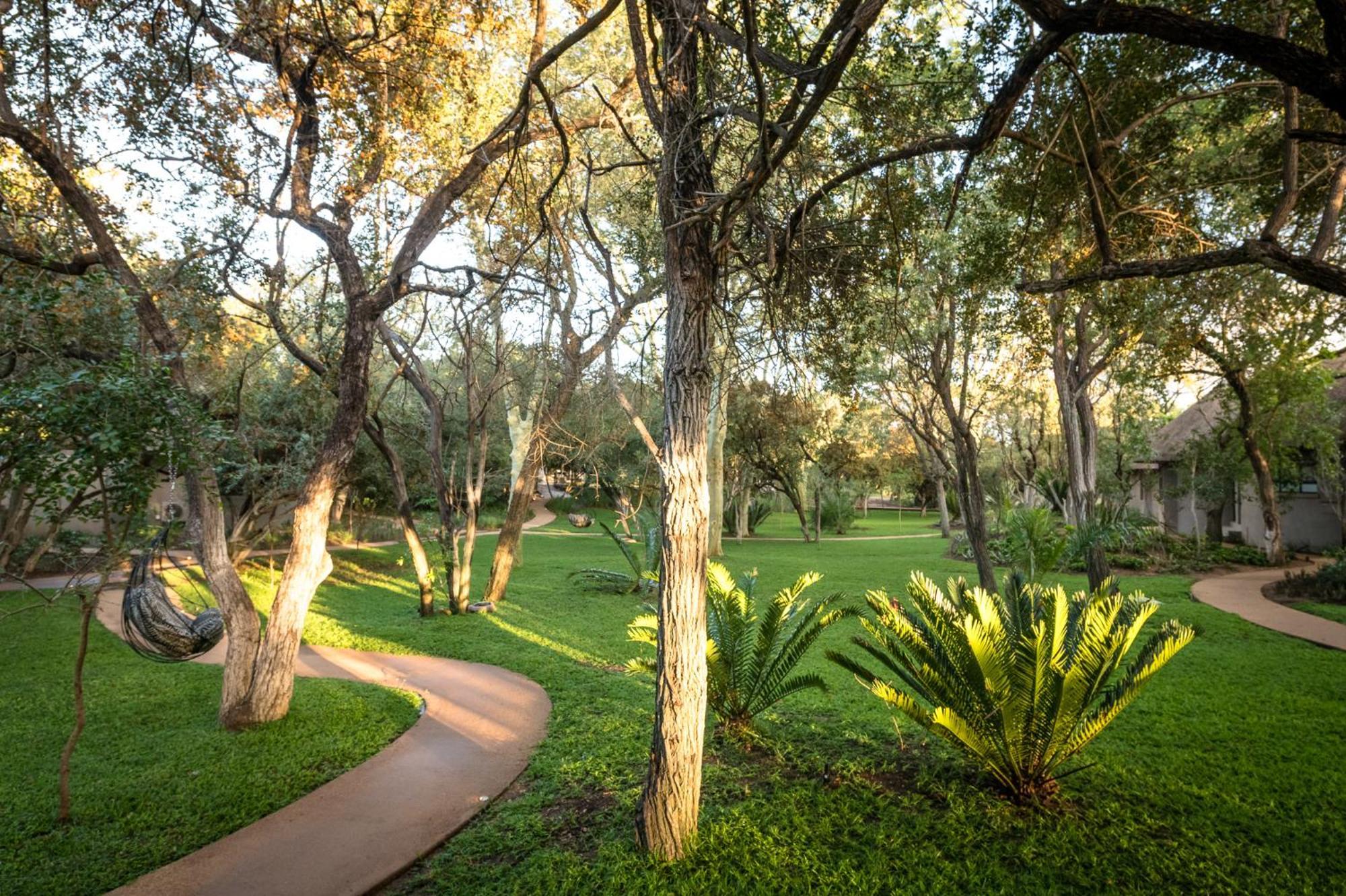 Serondella Safari Lodge Thornybush Game Reserve Exterior foto