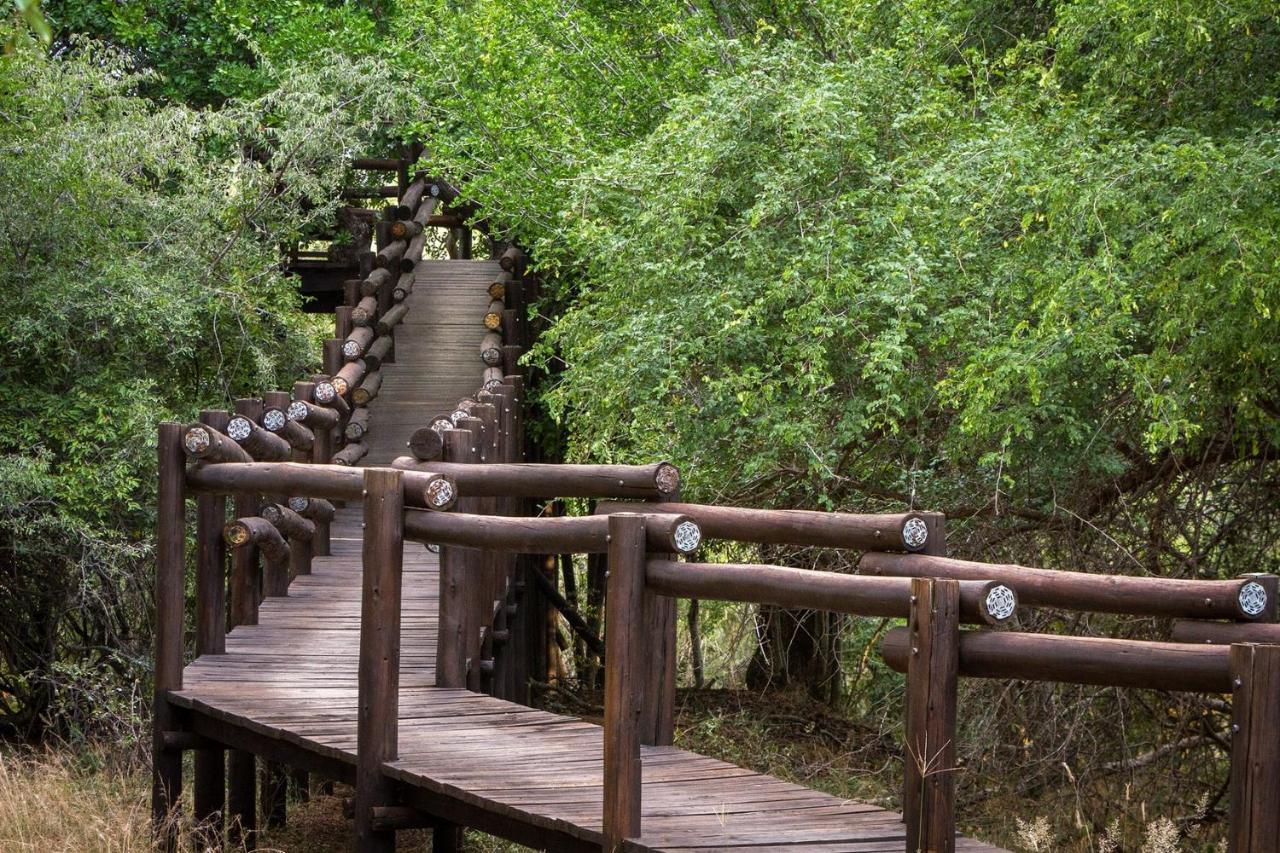 Serondella Safari Lodge Thornybush Game Reserve Exterior foto